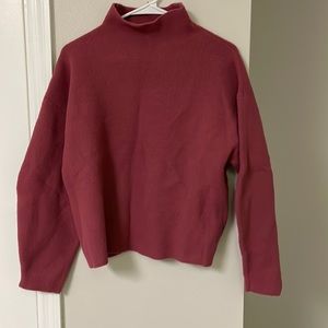 Brand new express turtle neck!